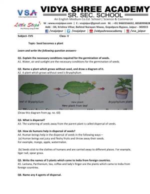 EVS Class- V Topic- Seed Becomes a Plant Learn and Write the Following