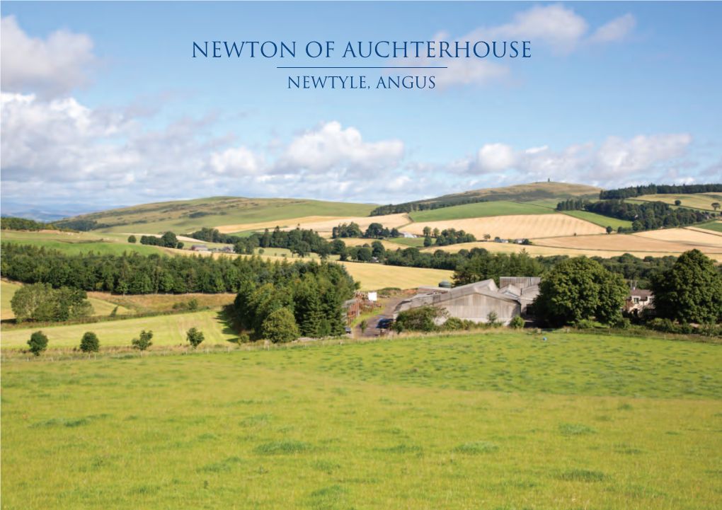 Newton of Auchterhouse Newtyle, Angus