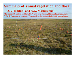 Summary of Yamal Vegetation and Flora