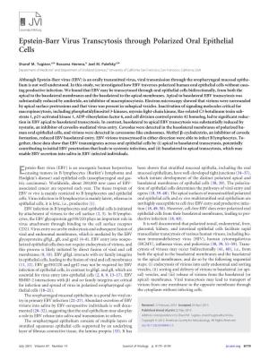 Epstein-Barr Virus Transcytosis Through Polarized Oral Epithelial Cells