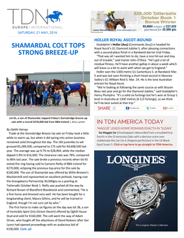 Shamardal Colt Tops Strong Breeze-Up Cont