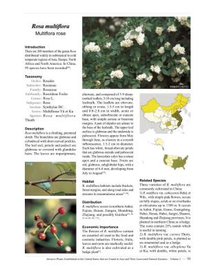 Invasive Plants Established in the United States That Are Found In