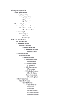 List of Bacterial Orders.Pdf
