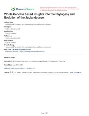 Whole Genome Based Insights Into the Phylogeny and Evolution of the Juglandaceae