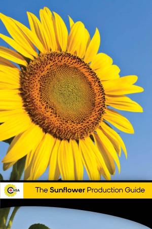 The Sunflower Production Guide