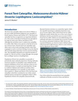 Forest Tent Caterpillar, Malacosoma Disstria Hübner (Insecta: Lepidoptera: Lasiocampidae)1 James R