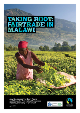 TAKING ROOT: Fairtrade in Malawi