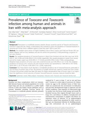 Prevalence of Toxocara and Toxascaris Infection Among Human and Animals in Iran with Meta-Analysis Approach