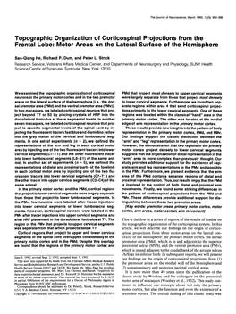 Topographic Organization of Corticospinal Projections from the Frontal Lobe: Motor Areas on the Lateral Surface of the Hemisphere