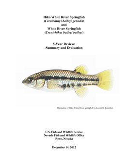 5 Year Review of the Springfish of the Pahranagat Valley
