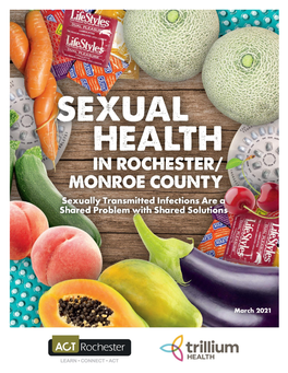 Sexual Health in Rochester/Monroe County Is Designed to Highlight Problems and Solutions for Stis in the Rochester Region