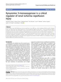 Kynurenine 3-Monooxygenase Is a Critical Regulator of Renal Ischemiaâ