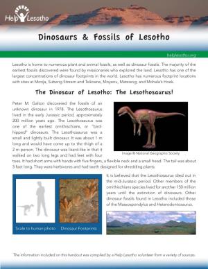 Dinosaurs & Fossils of Lesotho
