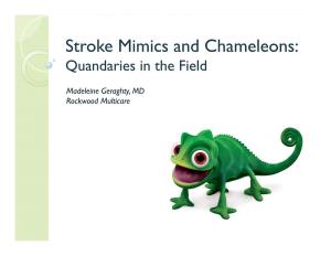 Stroke Mimics and Chameleons: Quandaries in the Field