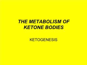 Ketogenesis & Ketone Bodies