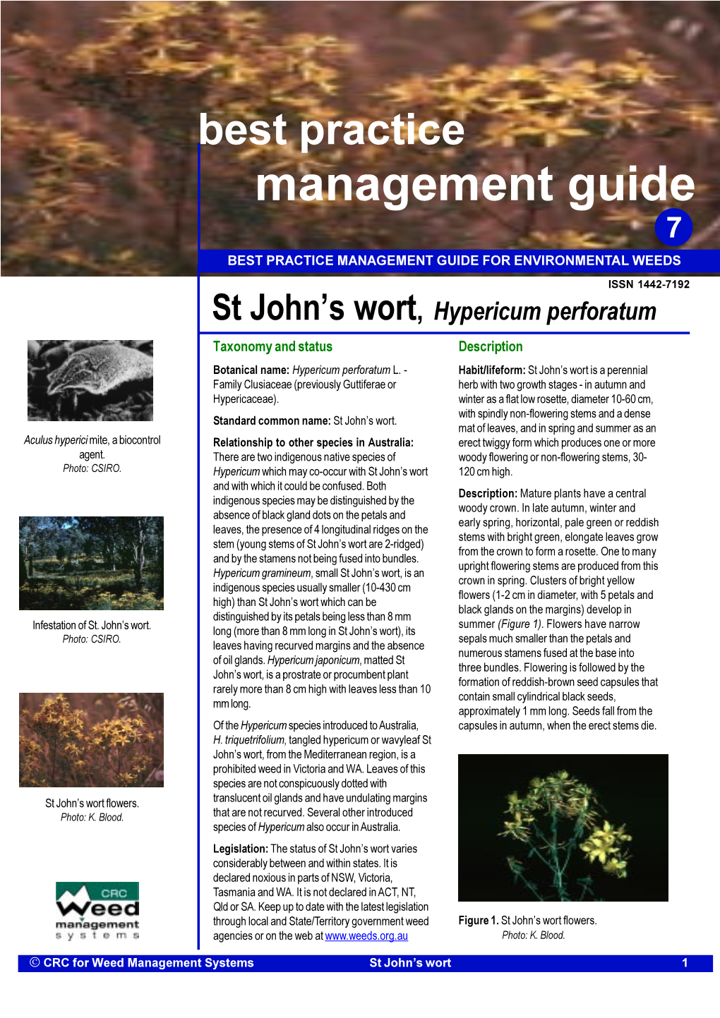 Best Practice Management Guide 7 BEST PRACTICE MANAGEMENT GUIDE for ENVIRONMENTAL WEEDS