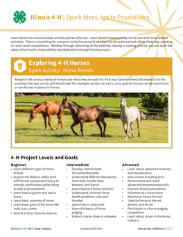 Illinois 4-H | Spark Ideas. Ignite Possibilities. Exploring 4-H Horses