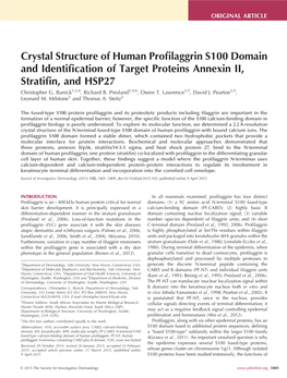 Crystal Structure of Human Profilaggrin S100 Domain And