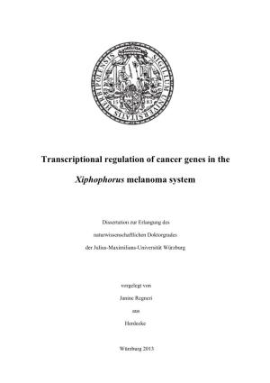 Transcriptional Regulation of Cancer Genes in the Xiphophorus