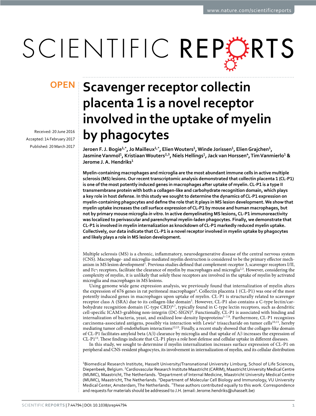 Scavenger Receptor Collectin Placenta 1 Is a Novel Receptor Involved in The