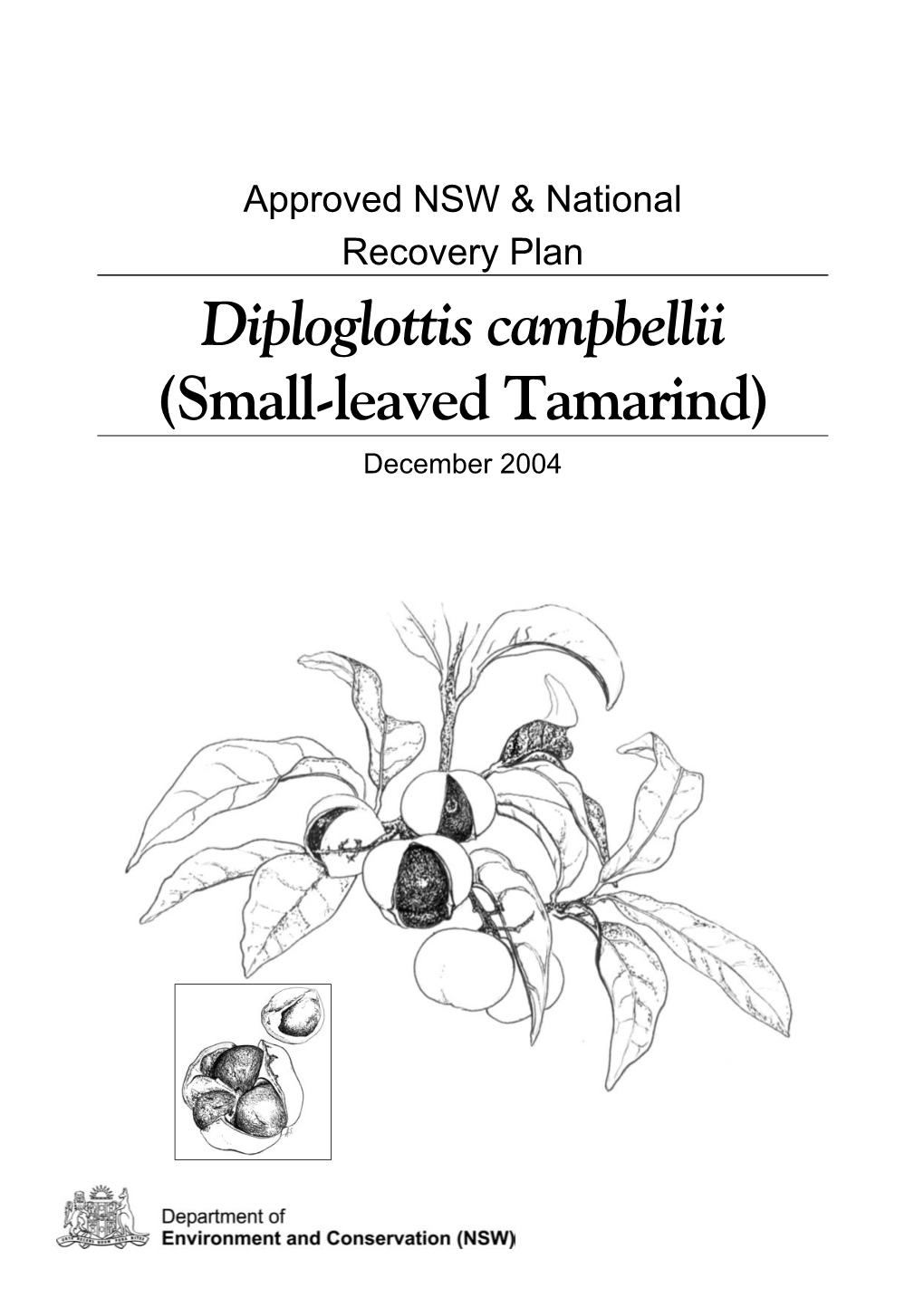 Approved NSW and National Recovery Plan, Diploglottis