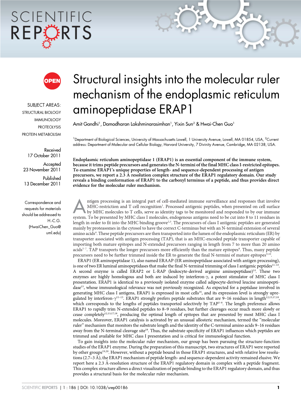 Structural Insights Into the Molecular Ruler Mechanism of the Endoplasmic Reticulum Aminopeptidase ERAP1