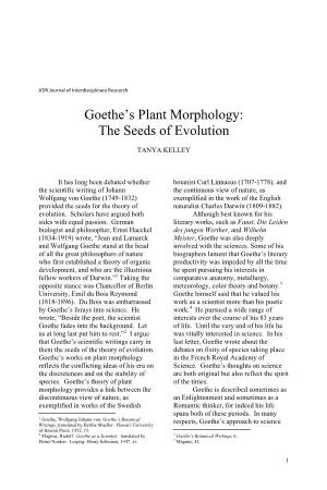 Goethe's Plant Morphology: the Seeds of Evolution