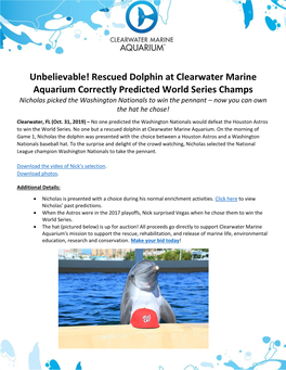 Unbelievable! Rescued Dolphin at Clearwater Marine Aquarium