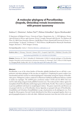 A Molecular Phylogeny of Porcellionidae (Isopoda, Oniscidea) Reveals Inconsistencies with Present Taxonomy