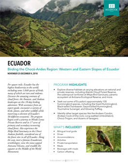 Ecuador Birding the Chocó-Andes Region: Western and Eastern Slopes of Ecuador November 25-December 4, 2018