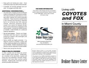 Coyotes and Red Foxes Are Consid- and Understanding of Wildlife Conservation Through Ered a Rabies Vector Species
