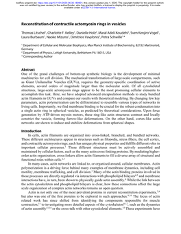 Reconstitution of Contractile Actomyosin Rings in Vesicles