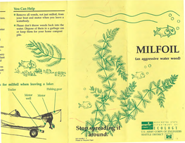 Milfoil Brochure