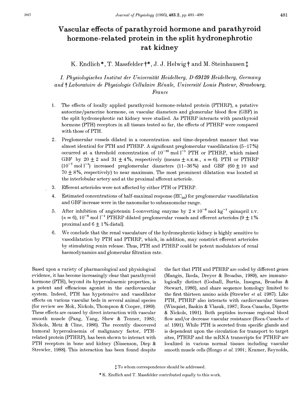 Vascular Effects of Parathyroid Hormone and Parathyroid Hormone-Related Protein in the Split Hydronephrotic Rat Kidney