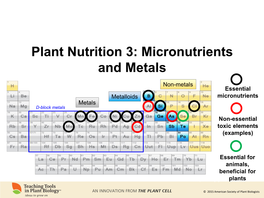 Plant Nutrition 3: Micronutrients and Metals