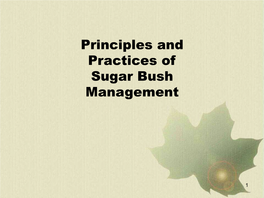 Sugar Bush Management