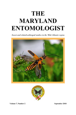 The Maryland Entomologist