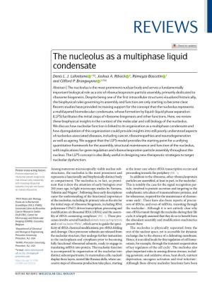 The Nucleolus As a Multiphase Liquid Condensate