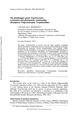 The Planthopper Genus Trypetimorpha: Systematics and Phylogenetic Relationships (Hemiptera: Fulgoromorpha: Tropiduchidae)