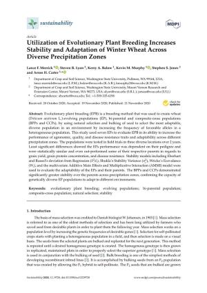 Utilization of Evolutionary Plant Breeding Increases Stability and Adaptation of Winter Wheat Across Diverse Precipitation Zones