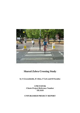 Shared Zebra Crossing Study