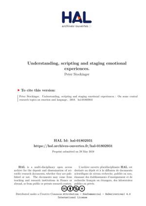 Understanding, Scripting and Staging Emotional Experiences. Peter Stockinger
