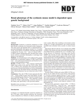 Renal Phenotype of the Cystinosis Mouse Model Is Dependent Upon Genetic Background