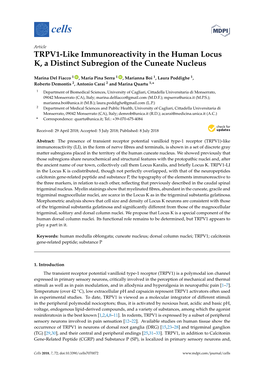 TRPV1-Like Immunoreactivity in the Human Locus K, a Distinct Subregion of the Cuneate Nucleus