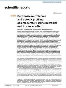 Depthwise Microbiome and Isotopic Profiling of a Moderately Saline