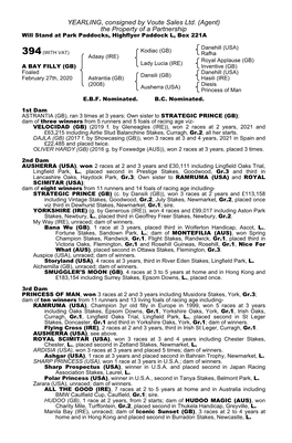 YEARLING, Consigned by Voute Sales Ltd. (Agent) the Property of a Partnership Will Stand at Park Paddocks, Highflyer Paddock L, Box 221A