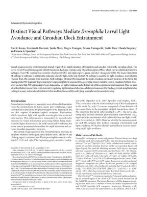 Distinct Visual Pathways Mediatedrosophilalarval Light