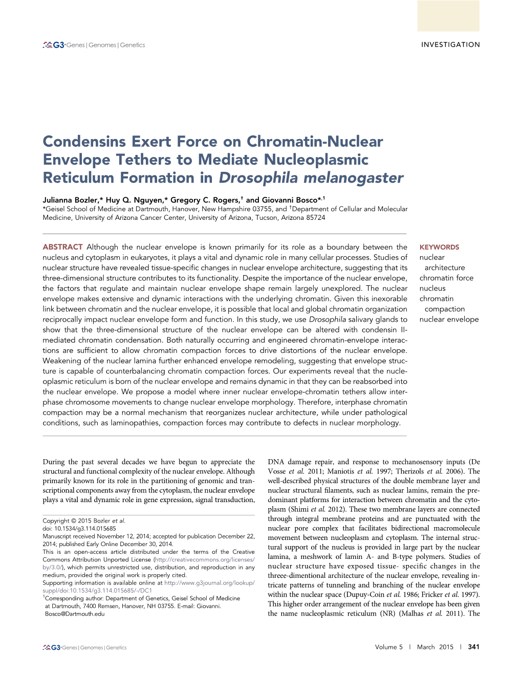 Condensins Exert Force on Chromatin-Nuclear Envelope Tethers to Mediate Nucleoplasmic Reticulum Formation in Drosophila Melanogaster