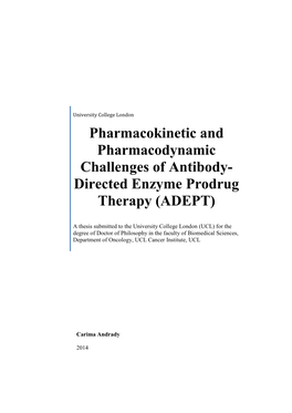 Directed Enzyme Prodrug Therapy (ADEPT)