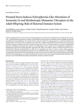 Prenatal Stress Induces Schizophrenia-Like Alterations of Serotonin 2A and Metabotropic Glutamate 2 Receptors in the Adult Offspring: Role of Maternal Immune System